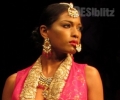 Highlights of India Fashion Week and National Asian Wedding Show 2016