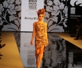 Highlights of India Fashion Week and National Asian Wedding Show 2016
