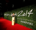 British Fashion Awards 2014