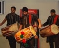 dholis01.jpg