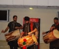 dholis02.jpg