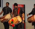 dholis03.jpg