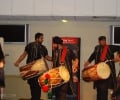 dholis05.jpg