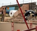 Art and Anarchy at Banksy's Dismaland