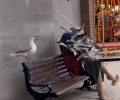 Art and Anarchy at Banksy's Dismaland