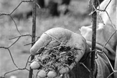 R13_SDR_COLOR_0924.01_51_57_08.Still016