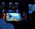 EXG-2015-Highlights- 16