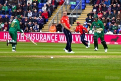 EngVPak-01