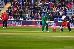 EngVPak-19