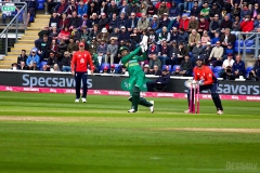 EngVPak-24