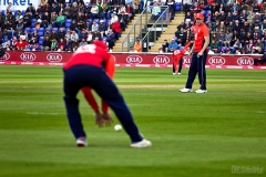 EngVPak-26