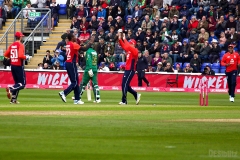EngVPak-28