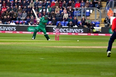 EngVPak-31