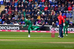 EngVPak-36