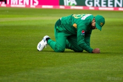 EngVPak-43