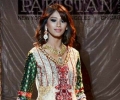 Fashion Pakistan USA 2013