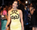 Beautful dress at IIFA 2008