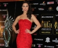Lauren Gottlieb