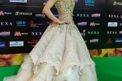 Best Dressed at the IIFA Awards 2018