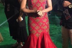 IIFA Awards 2017 enjoys a dazzling celebration in New York