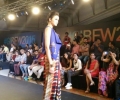 India Beach Fashion Week 2015