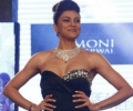 India Beach Fashion Week 2015