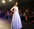 India Beach Fashion Week 2015