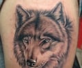 Upper arm wolf tattoo
