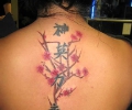 Indian Lady with middle of back tattoo