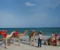 An Indian Kenyan Wedding by Rima Darwash