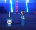 IPL 8 Opening Ceremony