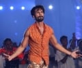 IPL 8 Opening Ceremony