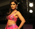 Lakme Fashion Week Winter/Festive 2014