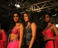 Lakme Fashion Week Winter/Festive 2014