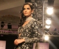 Lakme Fashion Week Winter/Festive 2014