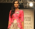 Lakme Fashion Week Winter/Festive 2014