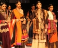 Lakme Fashion Week Winter/Festive 2014