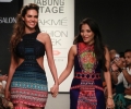 Lakme Fashion Week Winter/Festive 2014