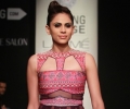 Lakme Fashion Week Winter/Festive 2014