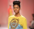 Lakme Fashion Week Winter/Festive 2014
