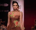 Lakme Fashion Week Winter/Festive 2014