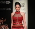 Lakme Fashion Week Winter/Festive 2014