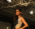 Lakme Fashion Week Winter/Festive 2014