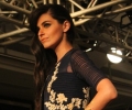 Lakme Fashion Week Winter/Festive 2014