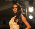 Lakme Fashion Week Winter/Festive 2014