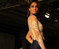 Lakme Fashion Week Winter/Festive 2014