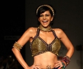 Pallavi Jaipur