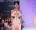 Lakme Fashion Week Winter/Festive