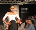 Lakme Fashion Week Winter/Festive
