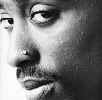 nose-ring50